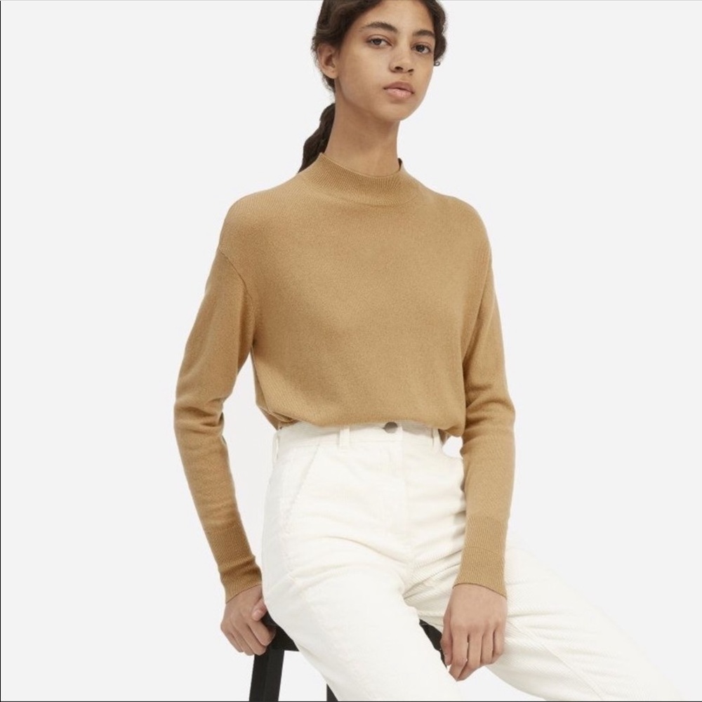 Everlane crop mock neck cashmere sweater